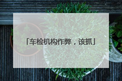 车检机构作弊，该抓