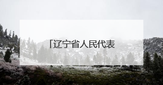 辽宁省人民代表大会常务委员会决定任免名单