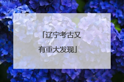 辽宁考古又有重大发现