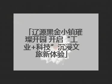 辽源黑金小镇璀璨开园 开启“工业+科技”沉浸文旅新体验