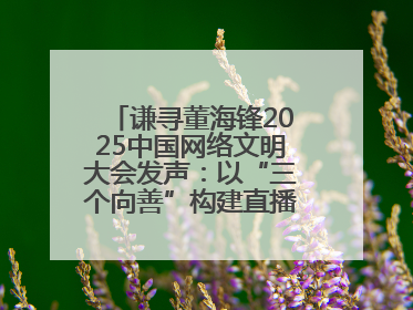 谦寻董海锋2025中国网络文明大会发声：以“三个向善”构建直播电商善意长河