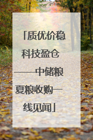 质优价稳 科技盈仓——中储粮夏粮收购一线见闻