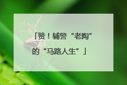赞！辅警“老陶”的“马路人生”