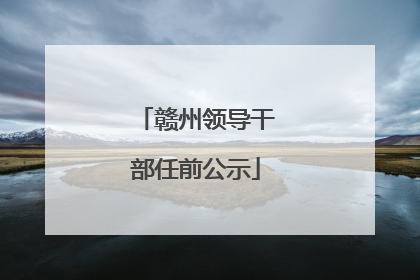 赣州领导干部任前公示