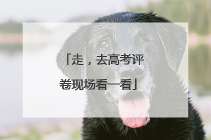 走，去高考评卷现场看一看