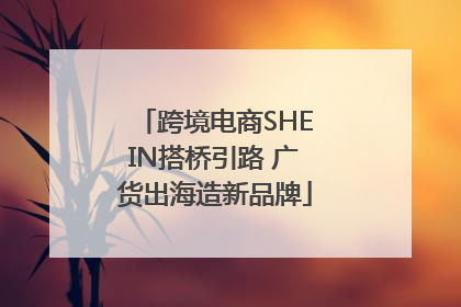 跨境电商SHEIN搭桥引路 广货出海造新品牌