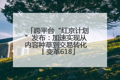 跨平台“红京计划”发布：加速实现从内容种草到交易转化丨变革618