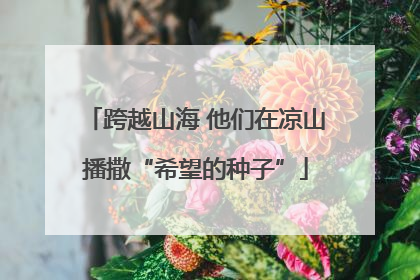 跨越山海 他们在凉山播撒“希望的种子”