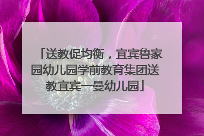 送教促均衡，宜宾鲁家园幼儿园学前教育集团送教宜宾一曼幼儿园