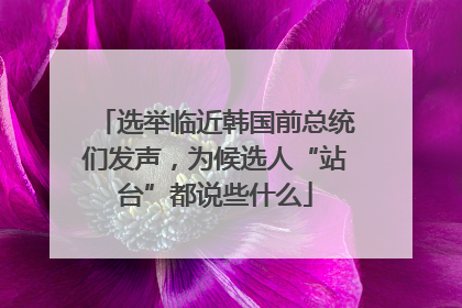 选举临近韩国前总统们发声，为候选人“站台”都说些什么