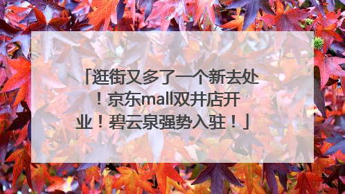 逛街又多了一个新去处！京东mall双井店开业！碧云泉强势入驻！