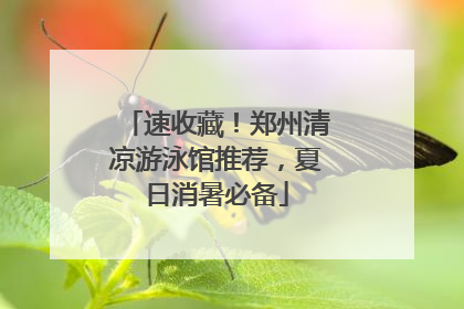 速收藏！郑州清凉游泳馆推荐，夏日消暑必备