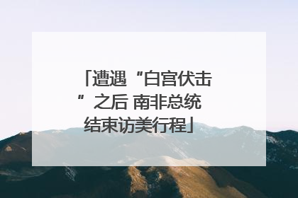 遭遇“白宫伏击”之后 南非总统结束访美行程