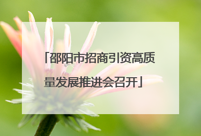 邵阳市招商引资高质量发展推进会召开