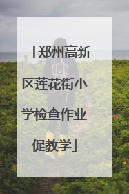 郑州高新区莲花街小学检查作业促教学