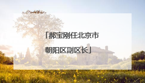 郝宝刚任北京市朝阳区副区长