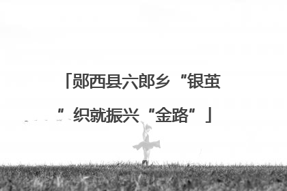 郧西县六郎乡“银茧”织就振兴“金路”