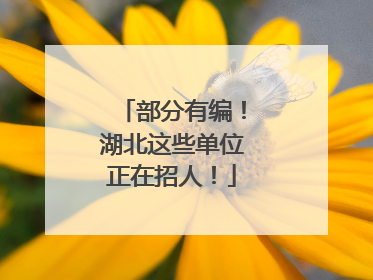 部分有编！湖北这些单位正在招人！