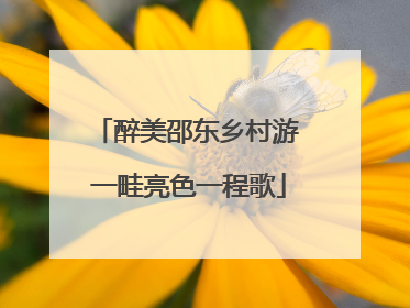 醉美邵东乡村游 一畦亮色一程歌