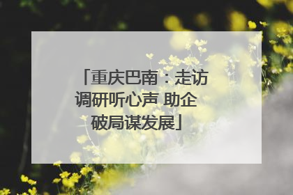 重庆巴南：走访调研听心声 助企破局谋发展