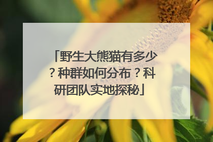 野生大熊猫有多少？种群如何分布？科研团队实地探秘