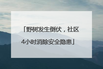 野树发生倒伏，社区4小时消除安全隐患