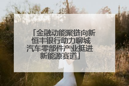金融动能聚链向新 恒丰银行助力聊城汽车零部件产业挺进新能源赛道