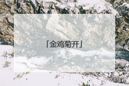 金鸡菊开