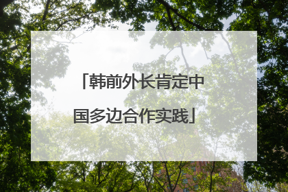韩前外长肯定中国多边合作实践