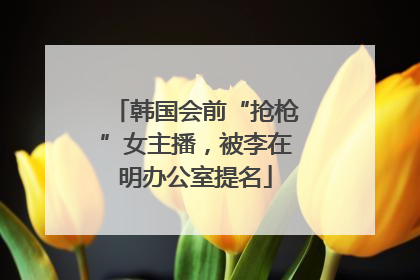 韩国会前“抢枪”女主播，被李在明办公室提名