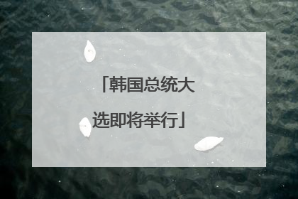 韩国总统大选即将举行