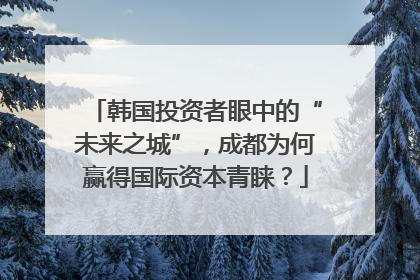 韩国投资者眼中的“未来之城”，成都为何赢得国际资本青睐？