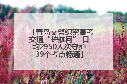 青岛交警织密高考交通“护航网” 日均2950人次守护39个考点畅通