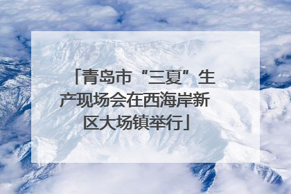 青岛市“三夏”生产现场会在西海岸新区大场镇举行