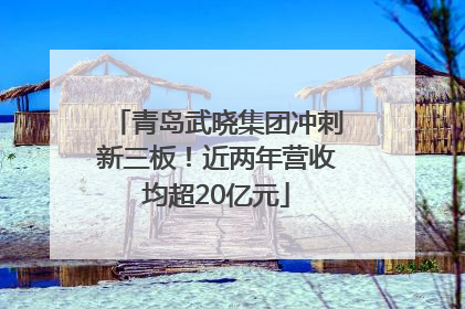 青岛武晓集团冲刺新三板！近两年营收均超20亿元