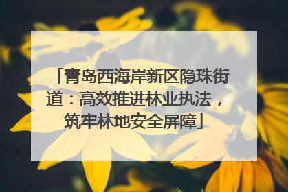 青岛西海岸新区隐珠街道：高效推进林业执法，筑牢林地安全屏障