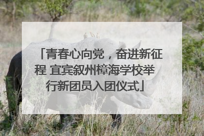 青春心向党，奋进新征程 宜宾叙州樟海学校举行新团员入团仪式