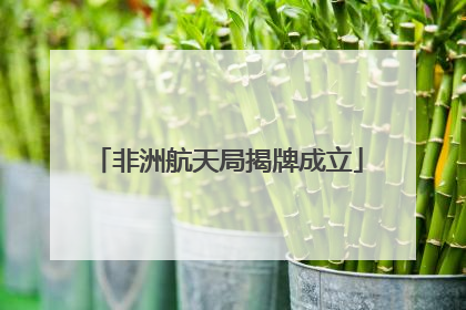 非洲航天局揭牌成立