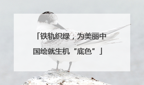 铁轨织绿，为美丽中国绘就生机“底色”