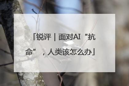 锐评｜面对AI“抗命”，人类该怎么办