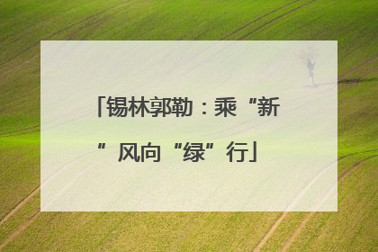 锡林郭勒：乘“新”风向“绿”行