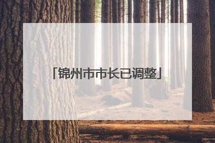 锦州市市长已调整