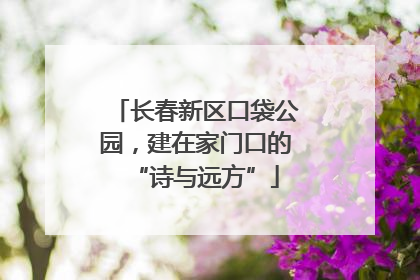 长春新区口袋公园，建在家门口的“诗与远方”