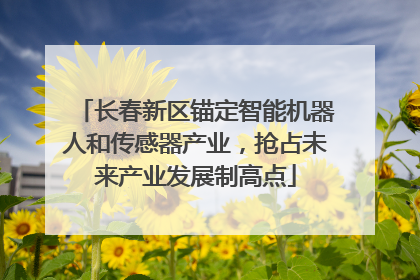 长春新区锚定智能机器人和传感器产业，抢占未来产业发展制高点