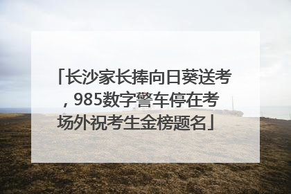 长沙家长捧向日葵送考，985数字警车停在考场外祝考生金榜题名