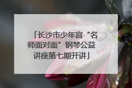 长沙市少年宫“名师面对面”钢琴公益讲座第七期开讲