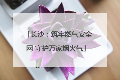 长沙：筑牢燃气安全网 守护万家烟火气