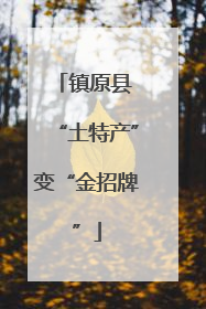 镇原县 “土特产”变“金招牌”