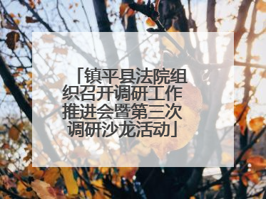 镇平县法院组织召开调研工作推进会暨第三次调研沙龙活动