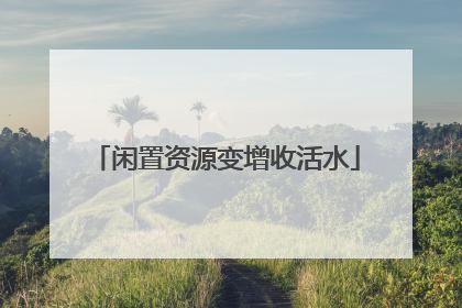 闲置资源变增收活水